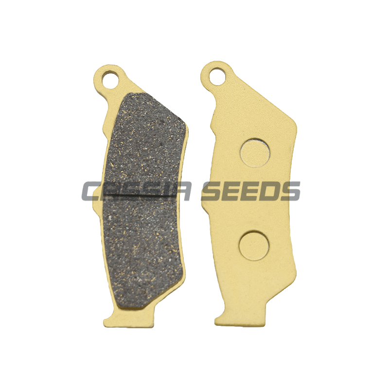 Pastillas de freno delanteras  - Carbon Ceramic Motorcycle Brake Rotor reseña y precio